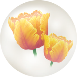 File:Yellow parrot tulip nectar icon.png