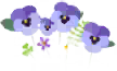 File:Blue pansy flowers icon.png
