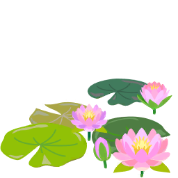 File:Red water lily flowers icon.png