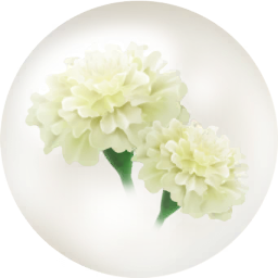 File:White marigold nectar icon.png