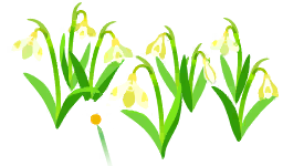 File:Yellow snowdrop flowers icon.png
