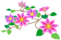 File:Red clematis flowers icon.png