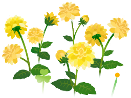 File:Yellow dahlia flowers icon.png