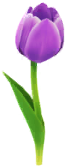 Blue tulip Big Flower icon.