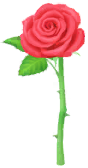 File:Red rose Big Flower icon.png