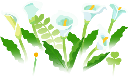 File:White calla lily flowers icon.png