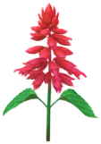 File:Red salvia Big Flower icon.png