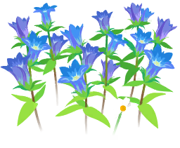 File:Blue gentian flowers icon.png