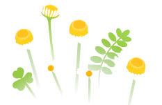 File:White flowers icon.png