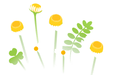 File:White flowers icon.png