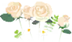White rose flowers icon.png