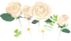File:White rose flowers icon.png