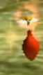 A red Pikmin seed with a flower. This can only happen in Pikmin. To get a Pikmin seed with a flower, one must leave Pikmin grow into flowers and then, produce new Pikmin. With some chance, the seeds that will come out of the Onion will have flowers. This doesn't work if the Pikmin evolved using nectar.