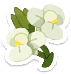 File:PB Lifelog Canna Lily White.png
