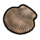 File:Scrumptious Shell P2S icon.png