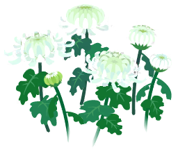 File:White mum flowers icon.png