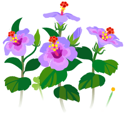 File:Blue hibiscus flowers icon.png