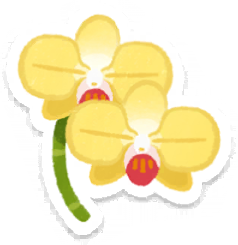 File:PB Lifelog Moth Orchid Yellow.png