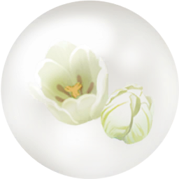 File:White tulip nectar icon.png