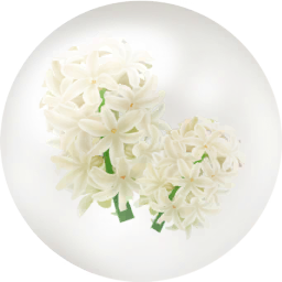 File:White hyacinth nectar icon.png