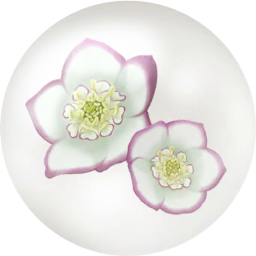 File:White helleborus nectar icon.png
