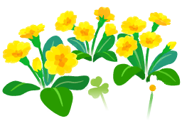 File:Yellow primrose flowers icon.png