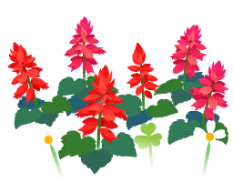 File:Red salvia flowers icon.png