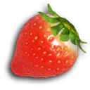 Sunseed Berry FF icon.png