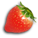 File:Sunseed Berry FF icon.png