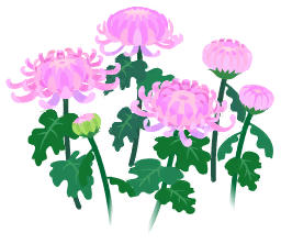 File:Red mum flowers icon.png