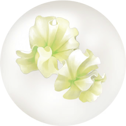 File:White sweet pea nectar icon.png