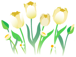 File:White tulip flowers icon.png