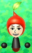 The Nintendo 3DS Streetpass Plaza Red Pikmin hat.