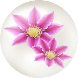 File:Red clematis nectar icon.png