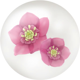 File:Red helleborus nectar icon.png