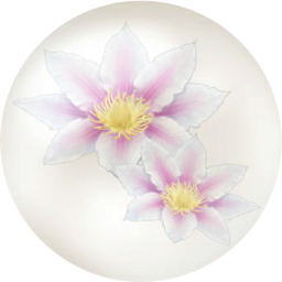 File:White clematis nectar icon.png