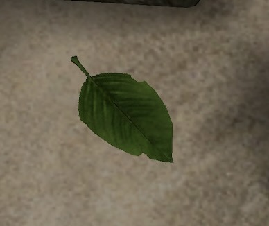 File:P2 Skitter Leaf corpse.jpg