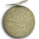 The Fruit File icon for the Wayward Moon. Ripped from a screenshot using GIMP, and with an outline added on top, so the quality is subjective.