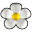 File:White flower.png