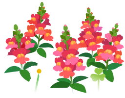 File:Red snapdragon flowers icon.png