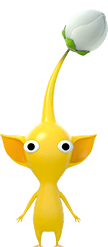 File:HP Yellow Pikmin Bud.png