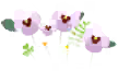 File:White pansy flowers icon.png