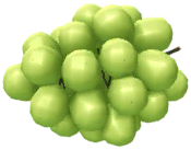 File:Muscat grapes icon.png