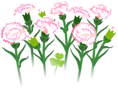 File:White carnation flowers icon.png
