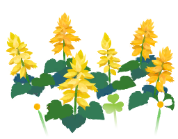 File:Yellow salvia flowers icon.png