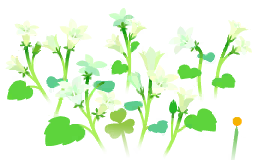 File:White bellflower flowers icon.png
