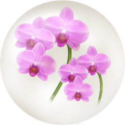 File:Red moth orchid nectar icon.png