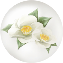 File:White camellia nectar icon.png