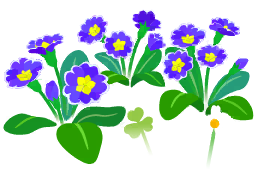 File:Blue primrose flowers icon.png