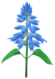 File:Blue salvia Big Flower icon.png